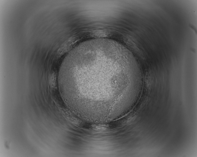 X0000101200359200807111015