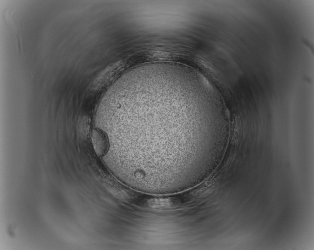 X0000101200361200807111015
