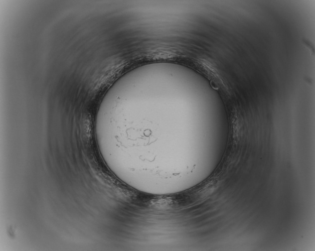X0000101200362200807111015