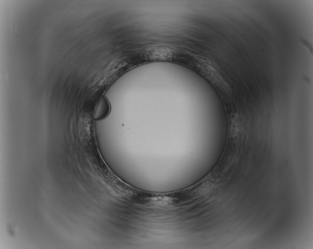 X0000101200363200807111015
