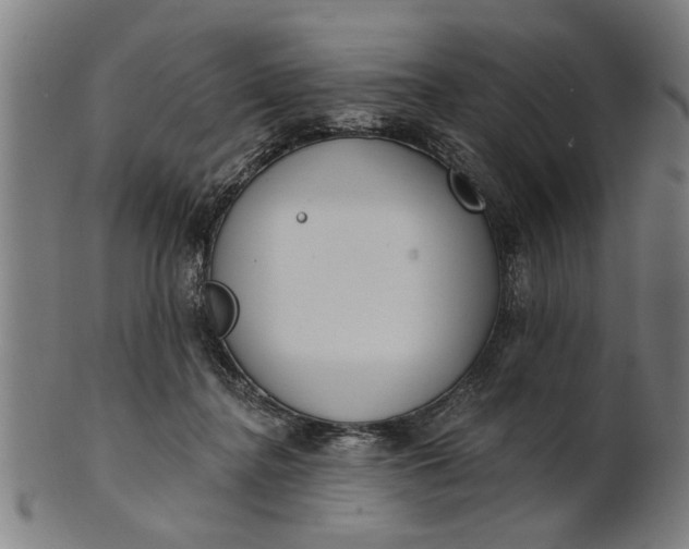 X0000101200364200807111015