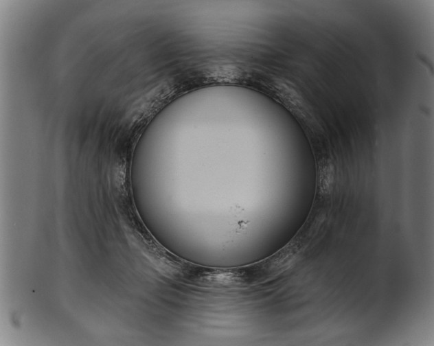 X0000101200365200807111015