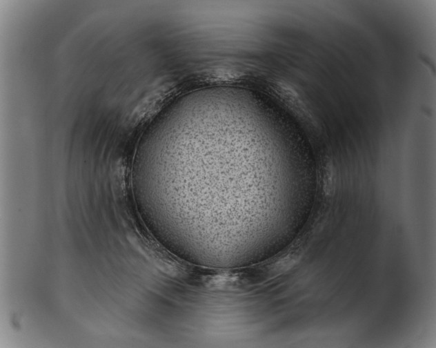 X0000101200366200807111015