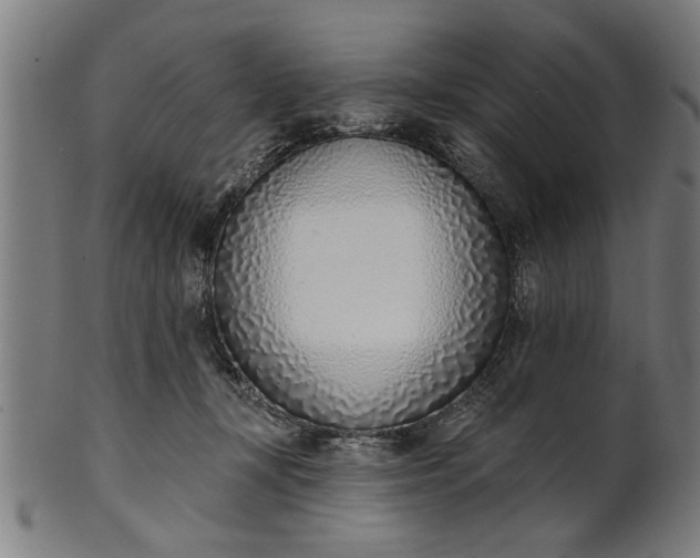 X0000101200367200807111015