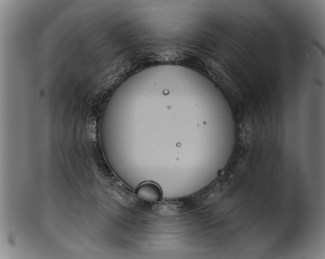 X0000101200368200807111015