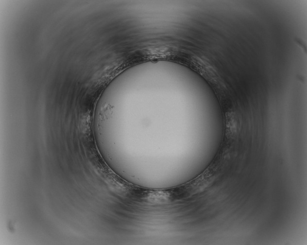 X0000101200369200807111015