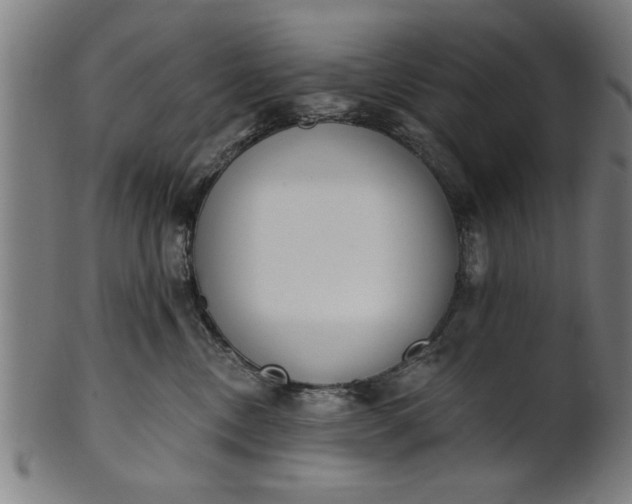 X0000101200378200807111015