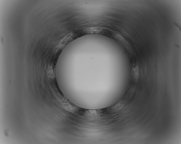 X0000101200381200807111015