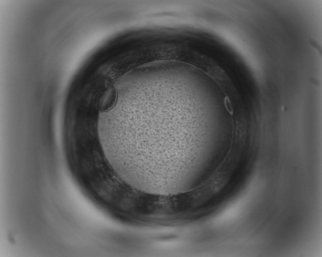 X0000101200383200807111015