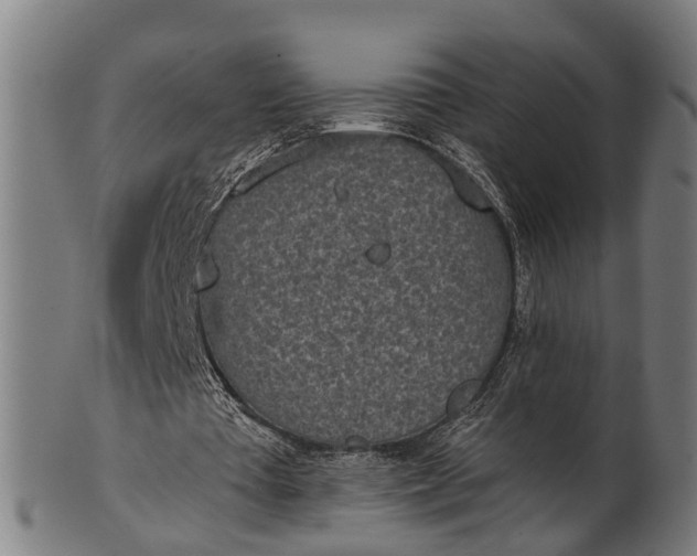 X0000101200385200807111015