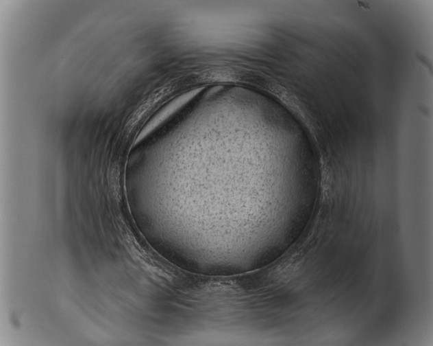 X0000101200386200807111015