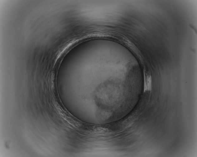 X0000101200387200807111015