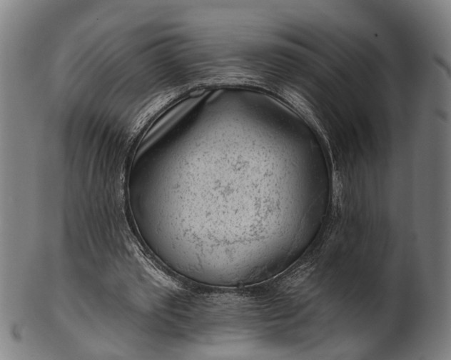 X0000101200389200807111015
