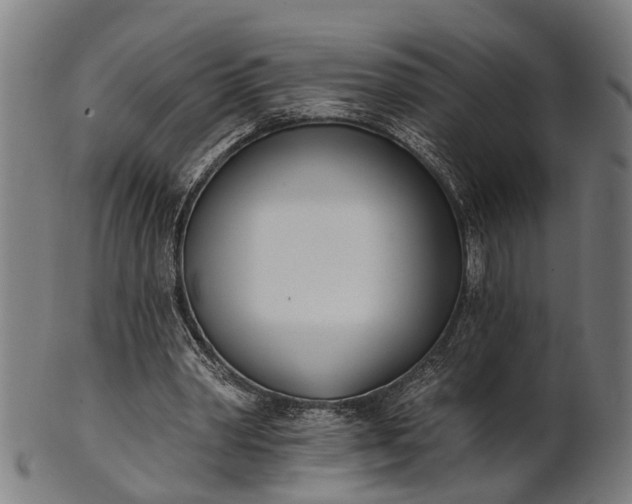 X0000101200390200807111015
