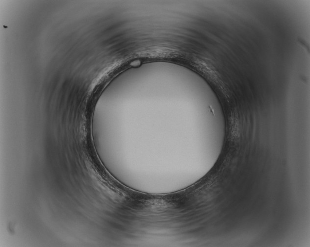 X0000101200392200807111015