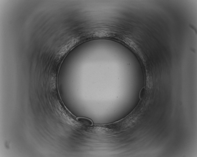 X0000101200393200807111015