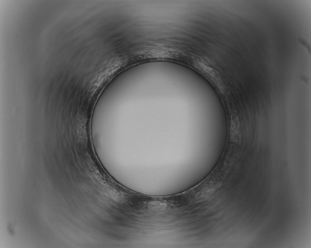 X0000101200394200807111015