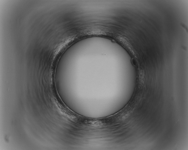 X0000101200395200807111015