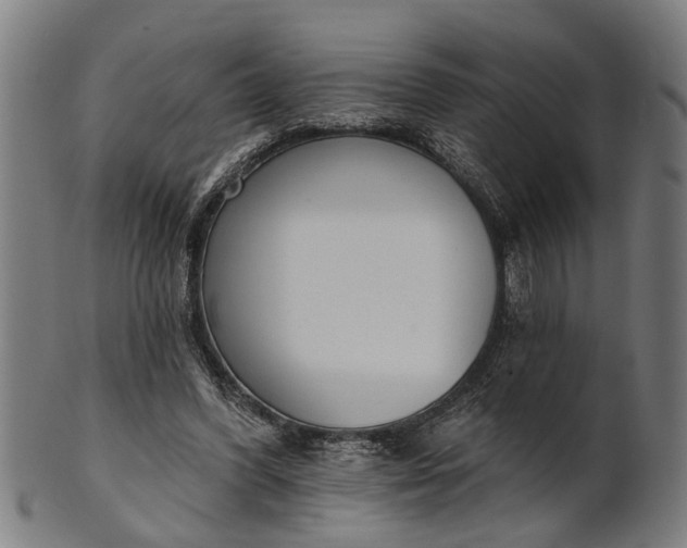 X0000101200396200807111014