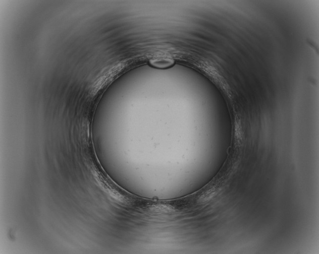 X0000101200397200807111014