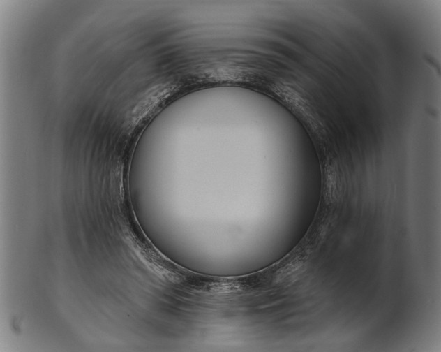 X0000101200398200807111014