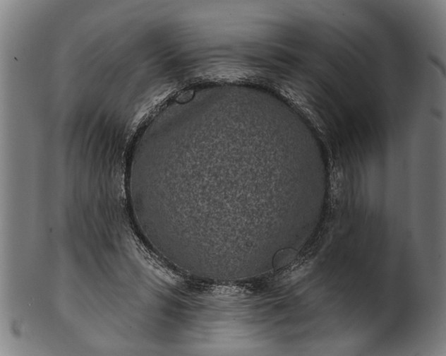 X0000101200399200807111014