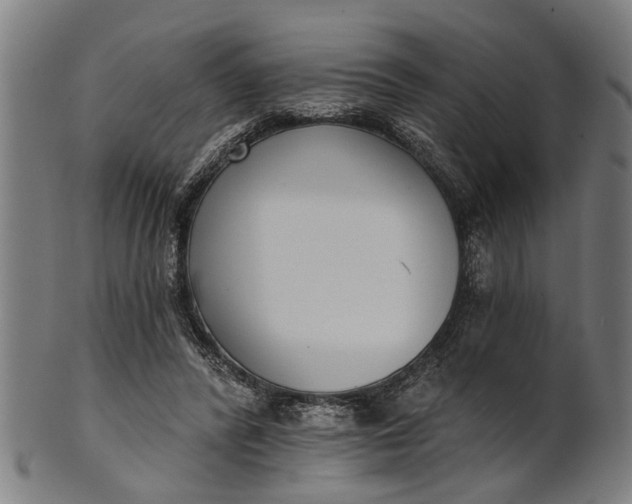 X0000101200400200807111014