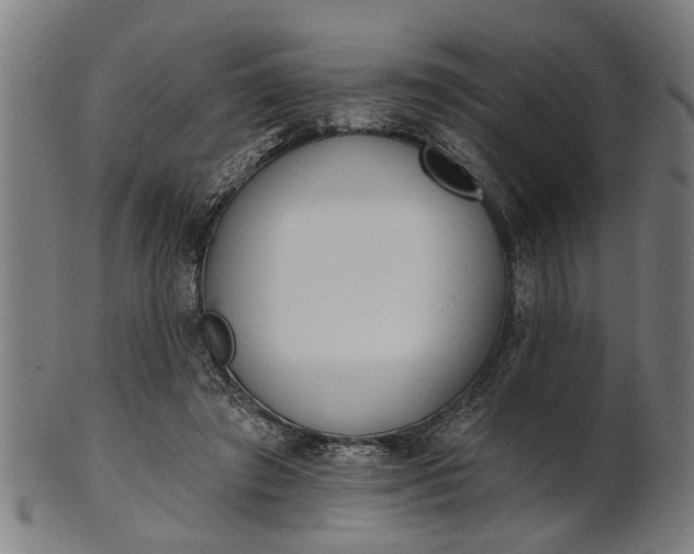 X0000101200401200807111014