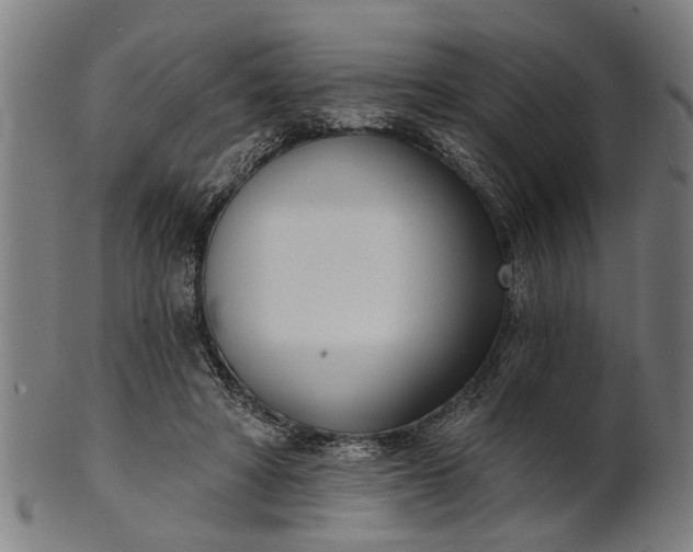 X0000101200402200807111014