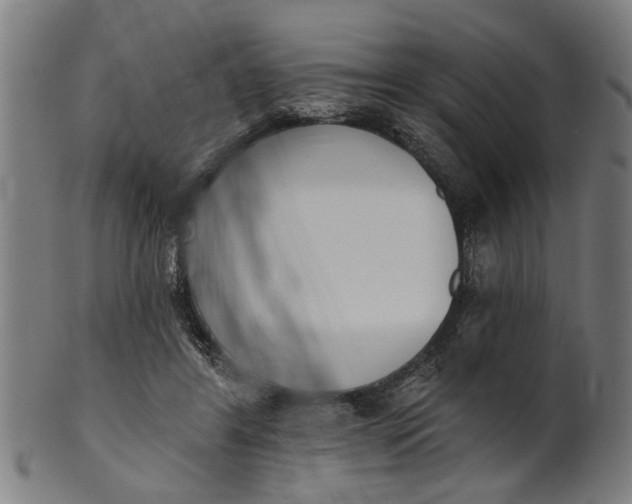 X0000101200404200807111014