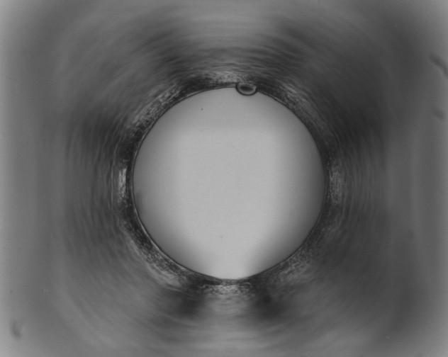 X0000101200406200807111014