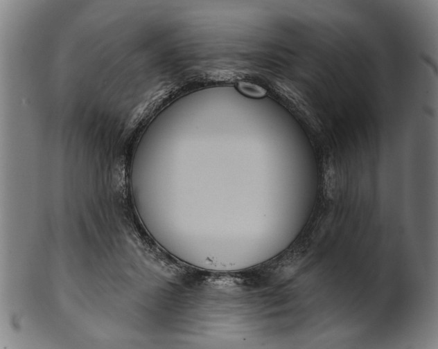 X0000101200407200807111014