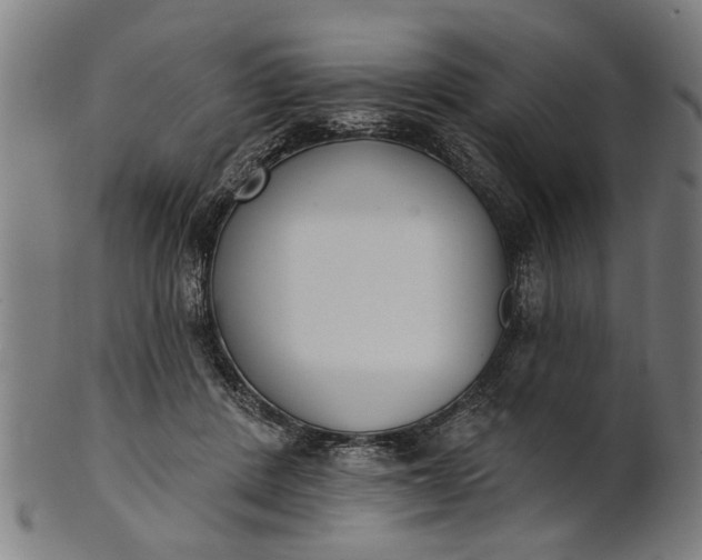 X0000101200408200807111014