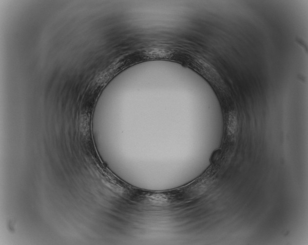 X0000101200409200807111014