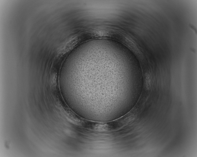 X0000101200410200807111014