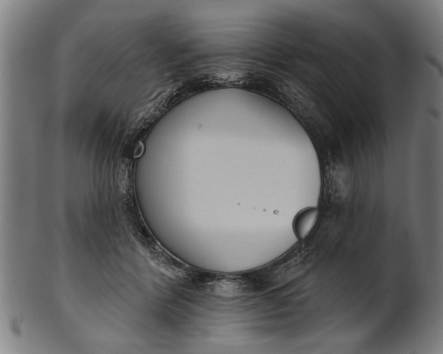 X0000101200412200807111014