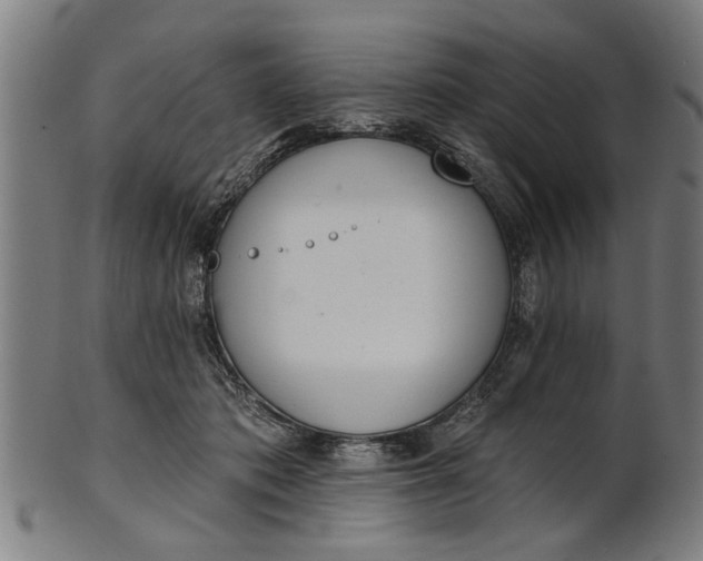 X0000101200413200807111014