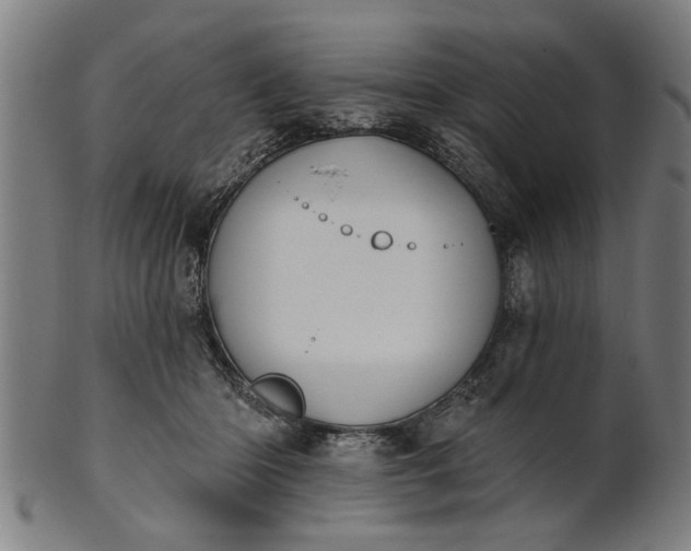X0000101200414200807111014