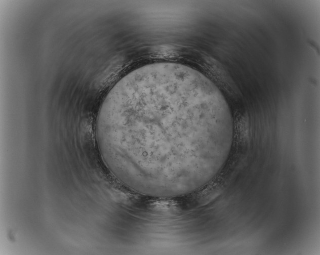 X0000101200415200807111014