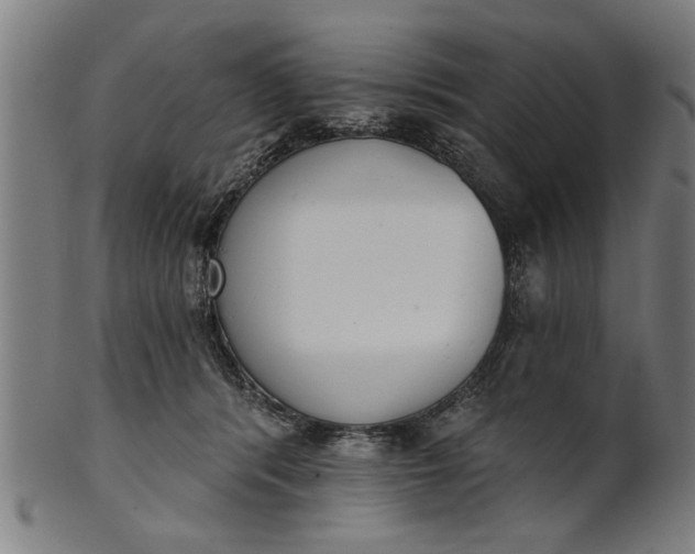 X0000101200416200807111014