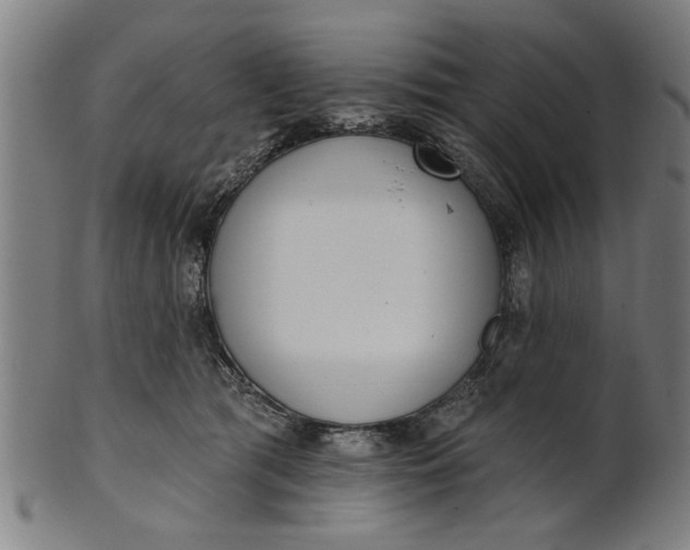 X0000101200417200807111014