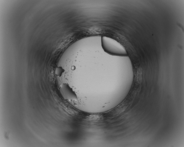 X0000101200418200807111014