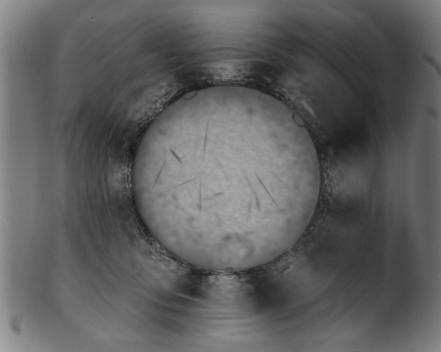 X0000101200419200807111014