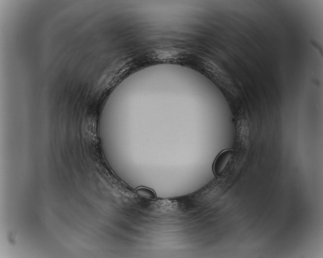X0000101200421200807111014