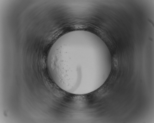 X0000101200422200807111014