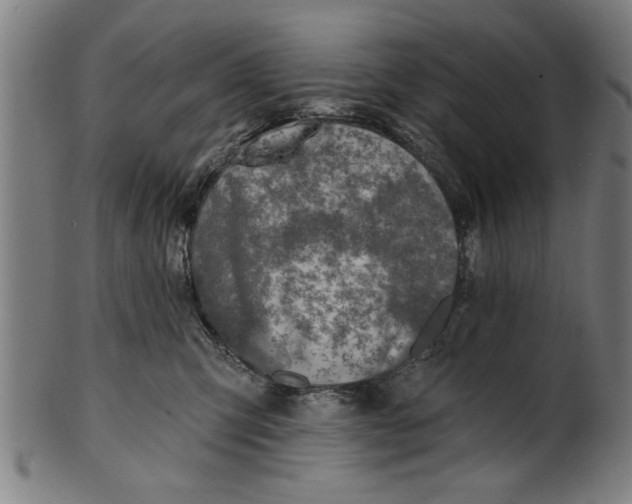 X0000101200423200807111014