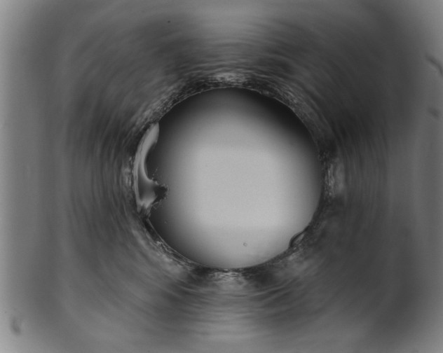 X0000101200424200807111014