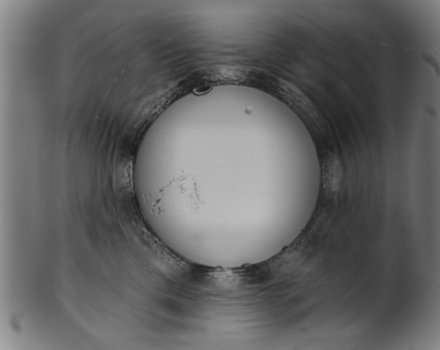 X0000101200425200807111014