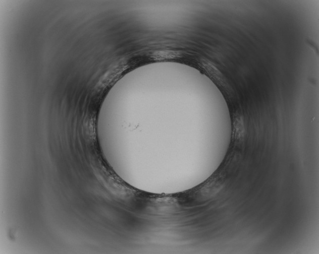 X0000101200426200807111014