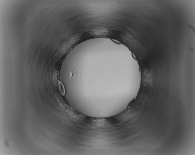 X0000101200428200807111014